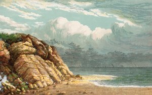 Strand en kliffen