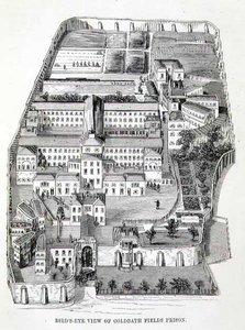 Vogelvlucht van Coldbath Fields Prison, uit 
