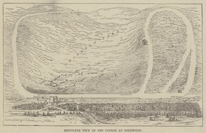 Vogelvlucht van de Baan bij Goodwood
