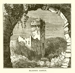 Blarney Kasteel door English School