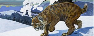 Lynx