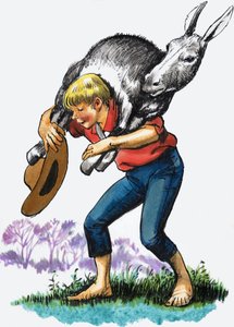 Jongen die een ezel draagt