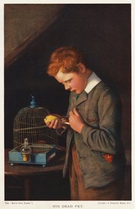 Jongen met zijn dode kanarie door English School