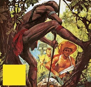 Brazilië: het land dat een stad uit de jungle hakte door English School