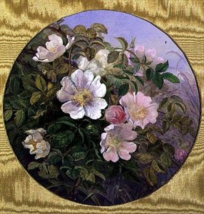 Briarrozen, c.1890 door English School