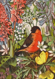 Goudvink (kleurenlitho)