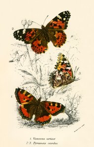 Vlinders