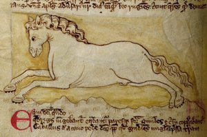 Paard, uit Bestiarium