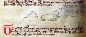 CCA-LitMs/D/10 fol. 11v Mol, uit Bestiarium door English School