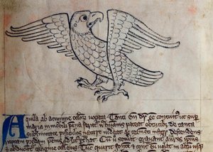 CCA-LitMs/D/10 fol. 13r Adelaar, uit Bestiarium door English School
