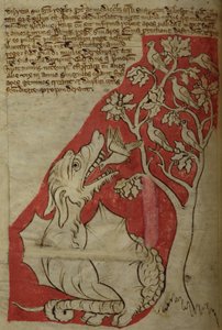 CCA-LitMs/D/10 fol. 23v De Perindensboom, uit Bestiarium