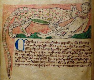 Crocodile, uit Bestiarium