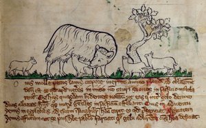 CCA-LitMs/D/10 fol. 8r Schaap, uit Bestiarium