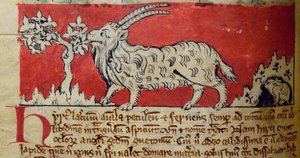 CCA-LitMs/D/10 fol. 8v Geit, uit Bestiarium door English School