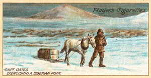 Kapitein Oates oefent een Siberische pony