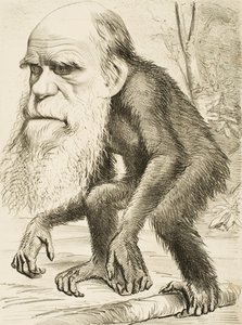 Karikatuur van Charles Darwin