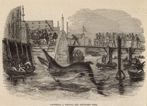 Een walvis vangen bij Deptford Pier