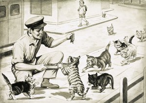 Katten komen de kattenvleesman begroeten door English School