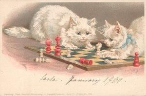Katten die schaken door English School