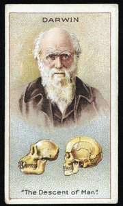 Charles Darwin, "The Descent of Man", uitgegeven 1924