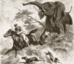 Achtervolgd door een olifant, illustratie uit De Geïllustreerde Editie van het Leven en de Ontdekkingen van David Livingstone door J. Ewing Richie, uitgegeven door A. Fullarton & Co., 1876 door English School