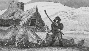 Cheviot herders