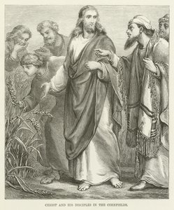 Christus en zijn discipelen in de korenvelden door English School
