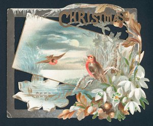 Kerstkaart met twee roodborstjes door English School