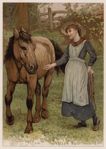 Slimme Dobbin