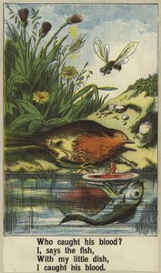 Cock Robin