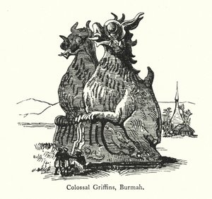 Kolossale Griffioenen, Birma