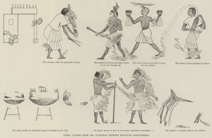 Komische fries van de Egyptische ontdekkingen van de heer Flinders Petrie door English School