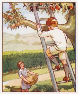 Bevelen: Klim voorzichtig de ladder op door English School