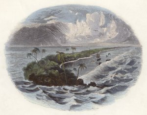 Koraalriffen