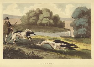 Coursing