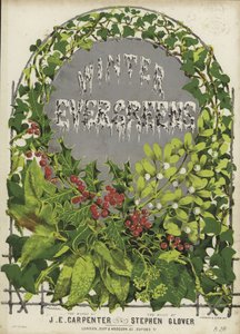 Omslag van Wintergroen