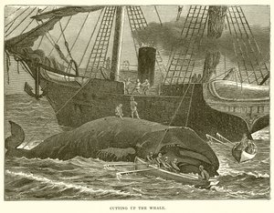 Het Slachten van de Walvis