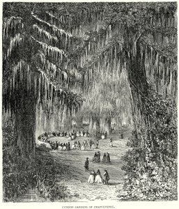 Cipres Tuinen van Chapultepec (gravure) door English School