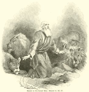 Daniël in de leeuwenkuil, Daniël, vi, 16, 17