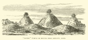 Deense tumuli of heuvels nabij Ashdown, Essex