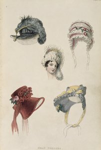 Daghoeden, modeplaat uit Ackermanns Repository of Arts