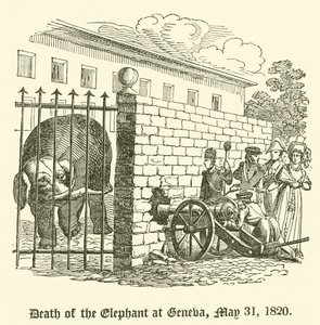 Dood van de olifant in Genève, 31 mei 1820 door English School