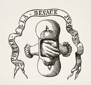 Devies van de Vlaamse Geuzen of Bedelaars, 1878