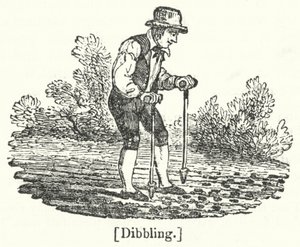 Dibbling door English School