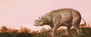 Dinosaurus