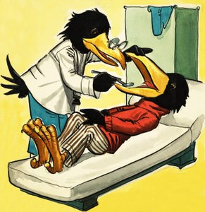 Dokter Kraai door English School