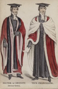 Doctor in de Godgeleerdheid, Dress Gown, Vicekanselier