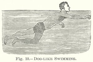 Hond-achtig zwemmen (gravure)