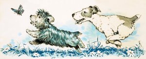 Honden die een vlinder achtervolgen