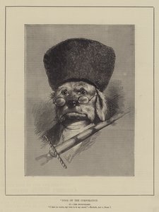 Honden van de Corporatie